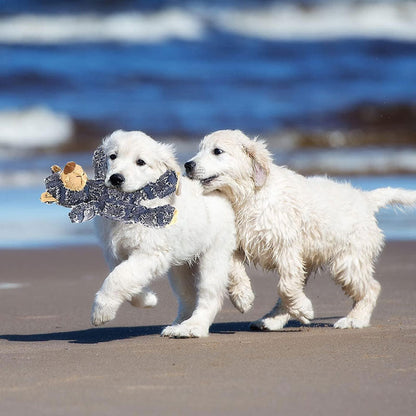 Avelena | Unzerstörbarer Robuster Bär