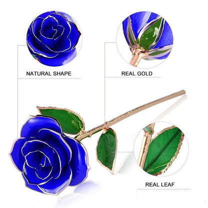 Avelena | Bloom Eternal 24K Gold Rose