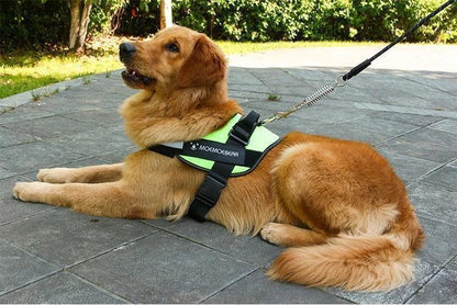 Avelena | Reflektierende all-in-one No Pull-Hundegeschirr