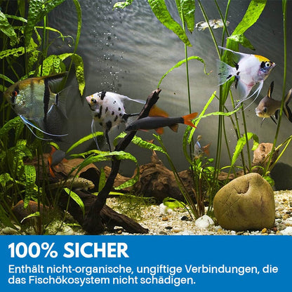 Avelena | Reinigungspulver Für Aquarium