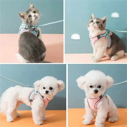Avelena | Katzenweste Geschirr und Leine Set