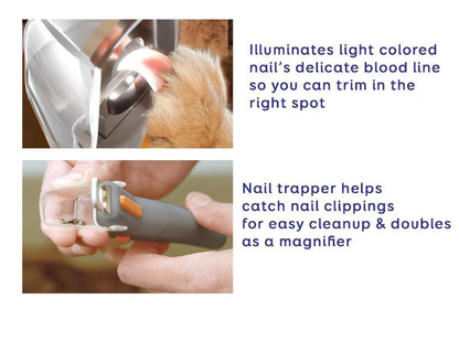 Avelena | Katzen und Hundekrallenclipper M/Led Beleuchtung