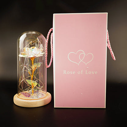 Avelena | Bewahrte Blumen Glasdeckel Goldfolie Rose