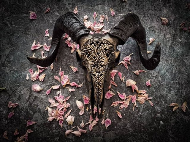 Avelena | Ausgehöhlter Widderkopf