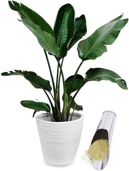 Avelena | Edelstahl Schaufel für Blumenerde – Robuste Pflanzschaufel für Garten und Balkon