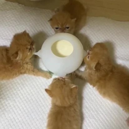 Avelena | Bissfeste Simulation Baby Haustier Futterschale