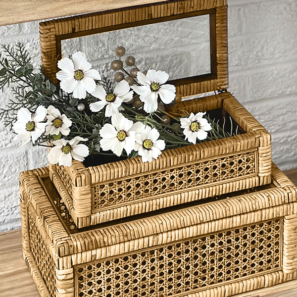 Avelena | Rattan und Cane-Truhen, Set aus 2