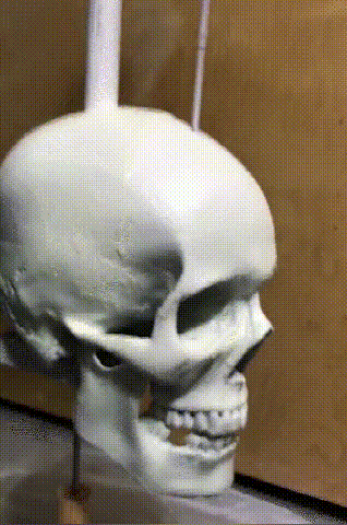 Avelena | Iron Skull Whirligig - Gartendekoration