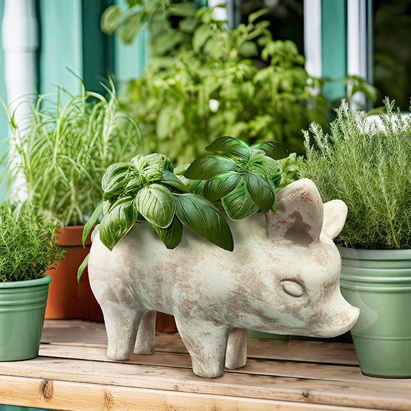 Avelena | Tone Pig Blumentopf