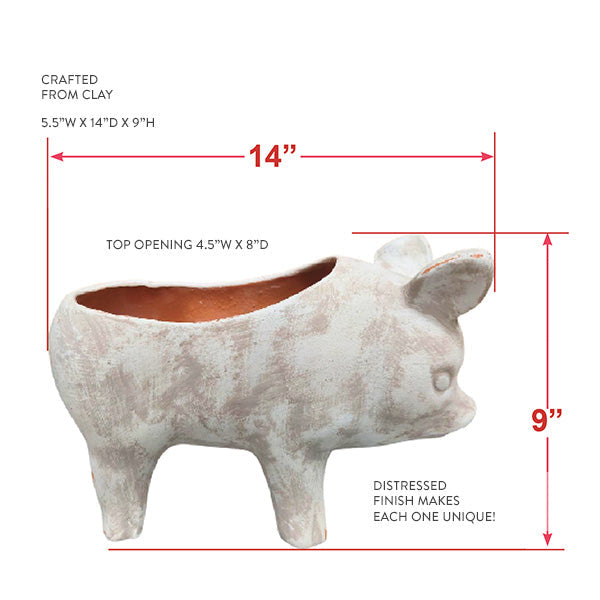 Avelena | Tone Pig Blumentopf