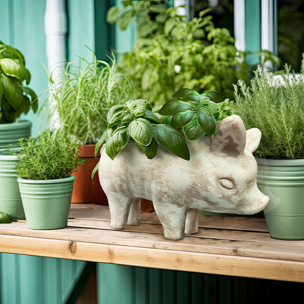 Avelena | Tone Pig Blumentopf