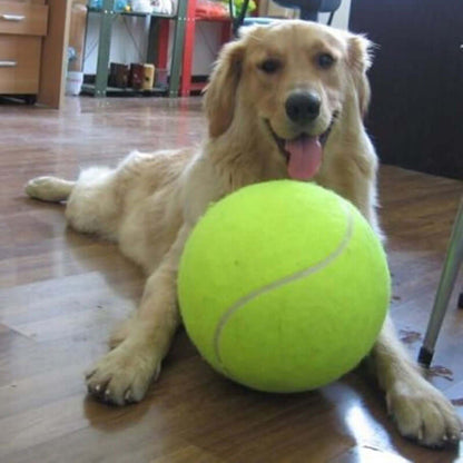 Avelena | XXL Tennisball für Hunde - 24cm - Robust & Groß