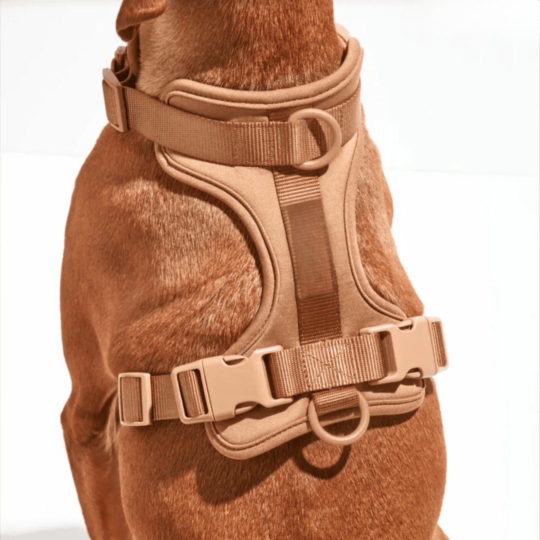 Avelena | ComfyPaws Hundegeschirr Walking Set mit Leine und Kotbeutelhalter