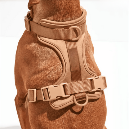 Avelena | ComfyPaws Hundegeschirr Walking Set mit Leine und Kotbeutelhalter