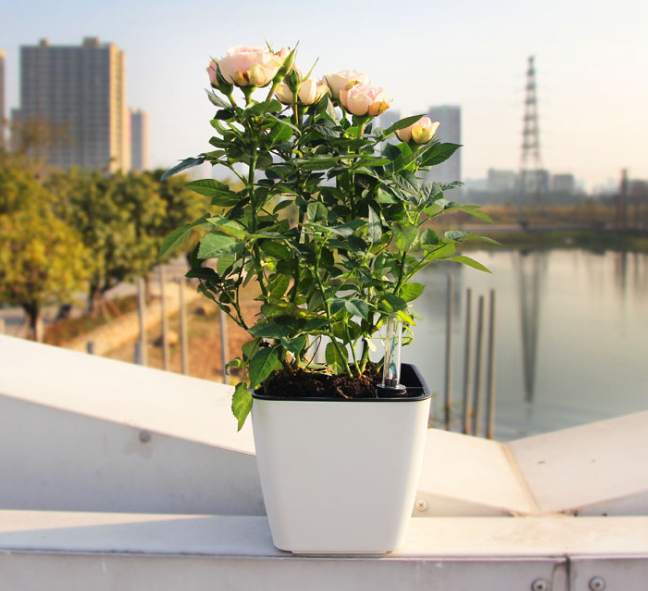 Avelena | Blumentopf mit Bewässerungssystem – Selbstbewässernder Pflanztopf für Innen- und Außennutzung