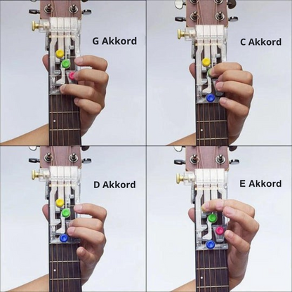 Avelena | StringLeitfaden Master Guitar Basics