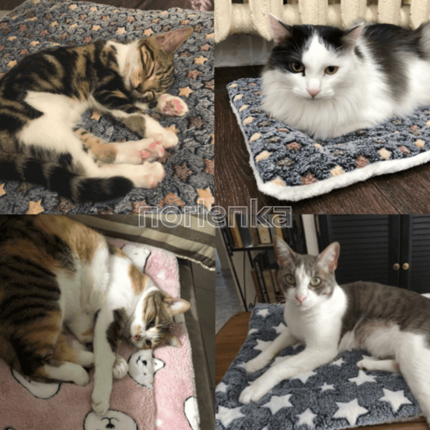 Avelena | Dogcatfrei Haustierdecke Kuscheliges Haustier Komfort Teppich