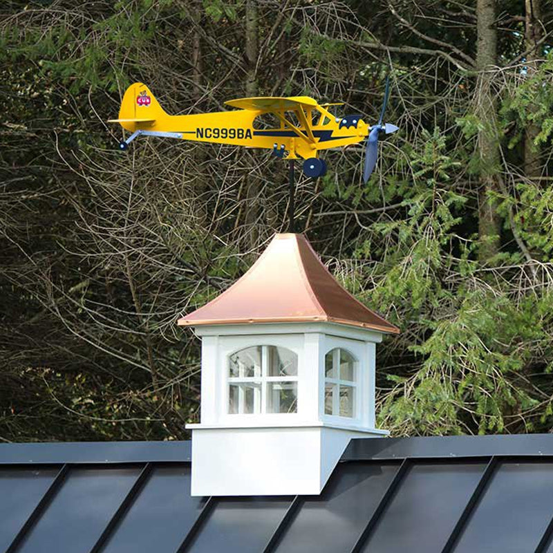 Avelena | Wetterhähne-Geschenke für Flugbegeisterte