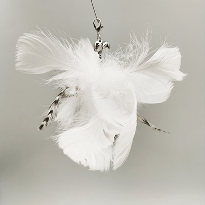 Avelena | VerspieltePfoten Kätzchen spielen Teaser Wand Spielzeug