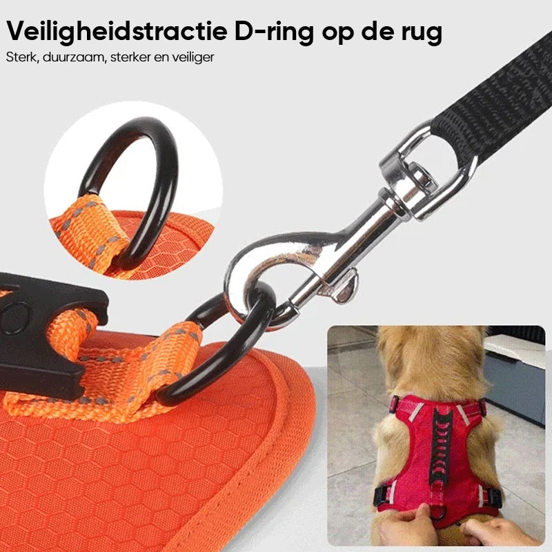 Avelena | Hundegeschirr