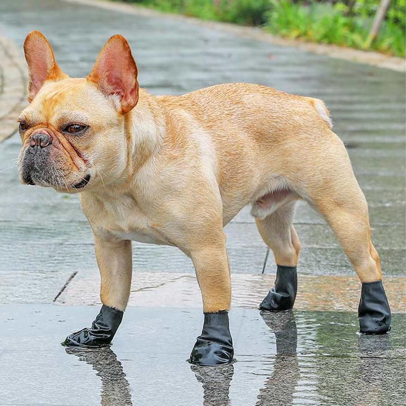 Avelena | Wasserdichte Hundeschuhe Zum Pfotenschutz