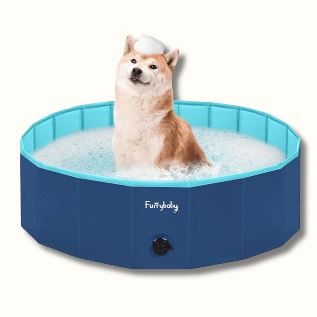 Avelena | Snuffpool Zusammenklappbares Hundepool Hartplastik