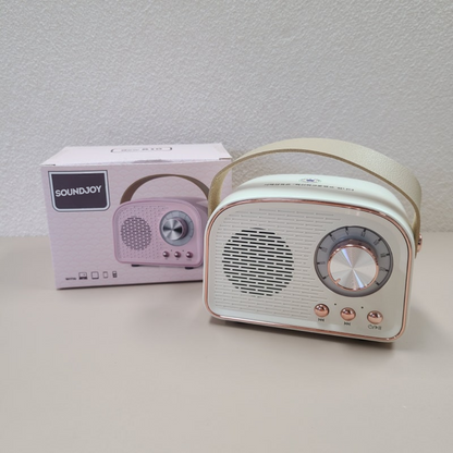 Avelena | SoundJoy | Tragbarer Retro Lautsprecher mit FM Radio