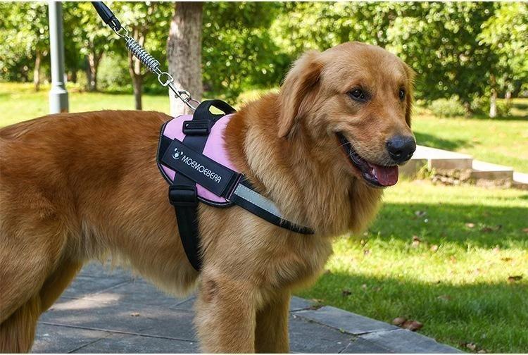 Avelena | Reflektierende all-in-one No Pull-Hundegeschirr