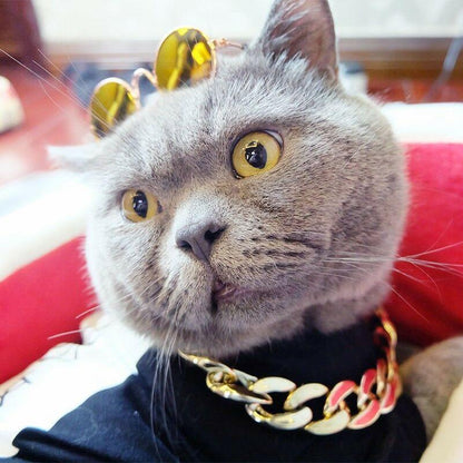 Avelena | Dicke goldene Kette Haustier Sicherheitskragen