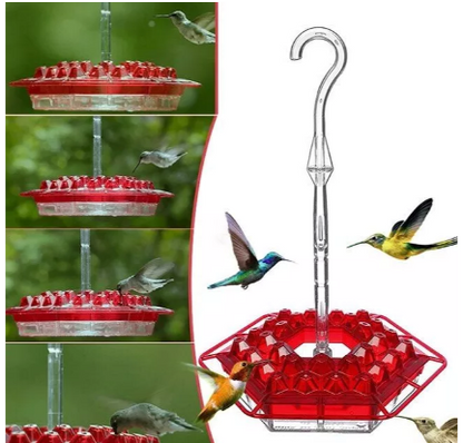 Avelena | Ants Resistant Hummingbird Feeder | 30 Feeding Openings, UV Resistant & Ideal for Outdoor Bird Watching