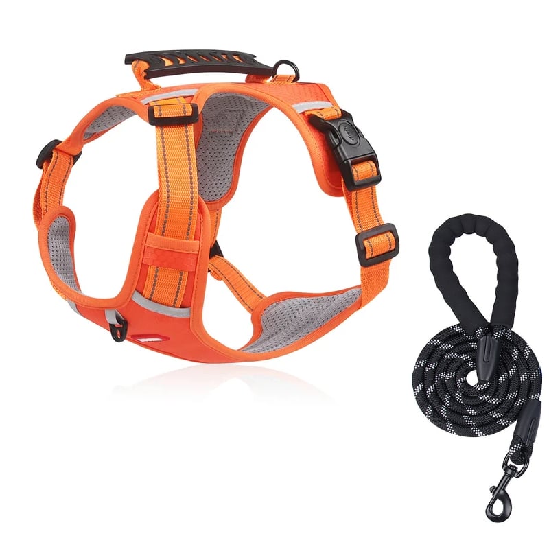 Avelena | Non-Pull Hundegeschirr für Haustiere