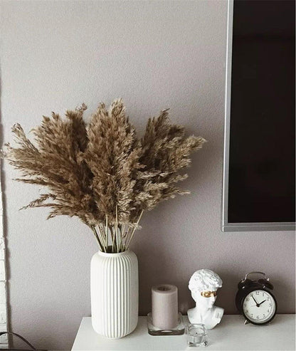 Avelena | 60 cm natürlicher, echter, braun-beiger getrockneter Pampasgrasstrauß │ flauschige Feder für moderne Boho-Heimdekoration