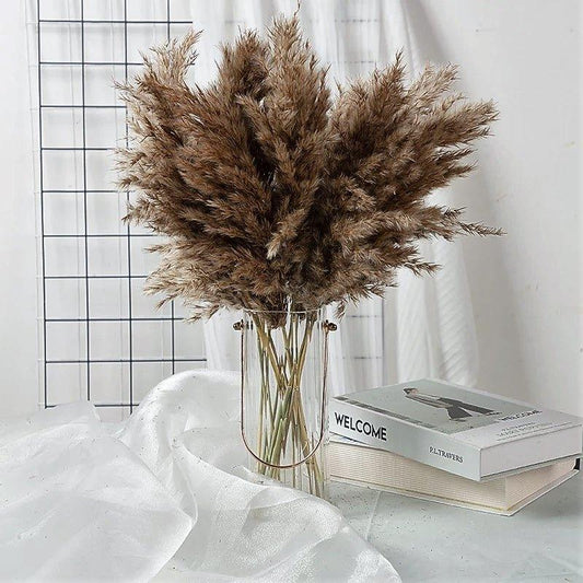 Avelena | 60 cm natürlicher, echter, braun-beiger getrockneter Pampasgrasstrauß │ flauschige Feder für moderne Boho-Heimdekoration