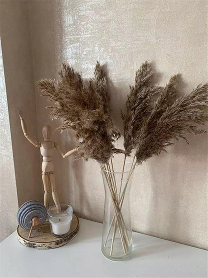 Avelena | 60 cm natürlicher, echter, braun-beiger getrockneter Pampasgrasstrauß │ flauschige Feder für moderne Boho-Heimdekoration