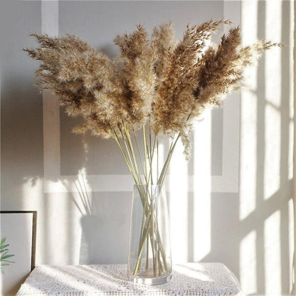 Avelena | 60 cm natürlicher, echter, braun-beiger getrockneter Pampasgrasstrauß │ flauschige Feder für moderne Boho-Heimdekoration