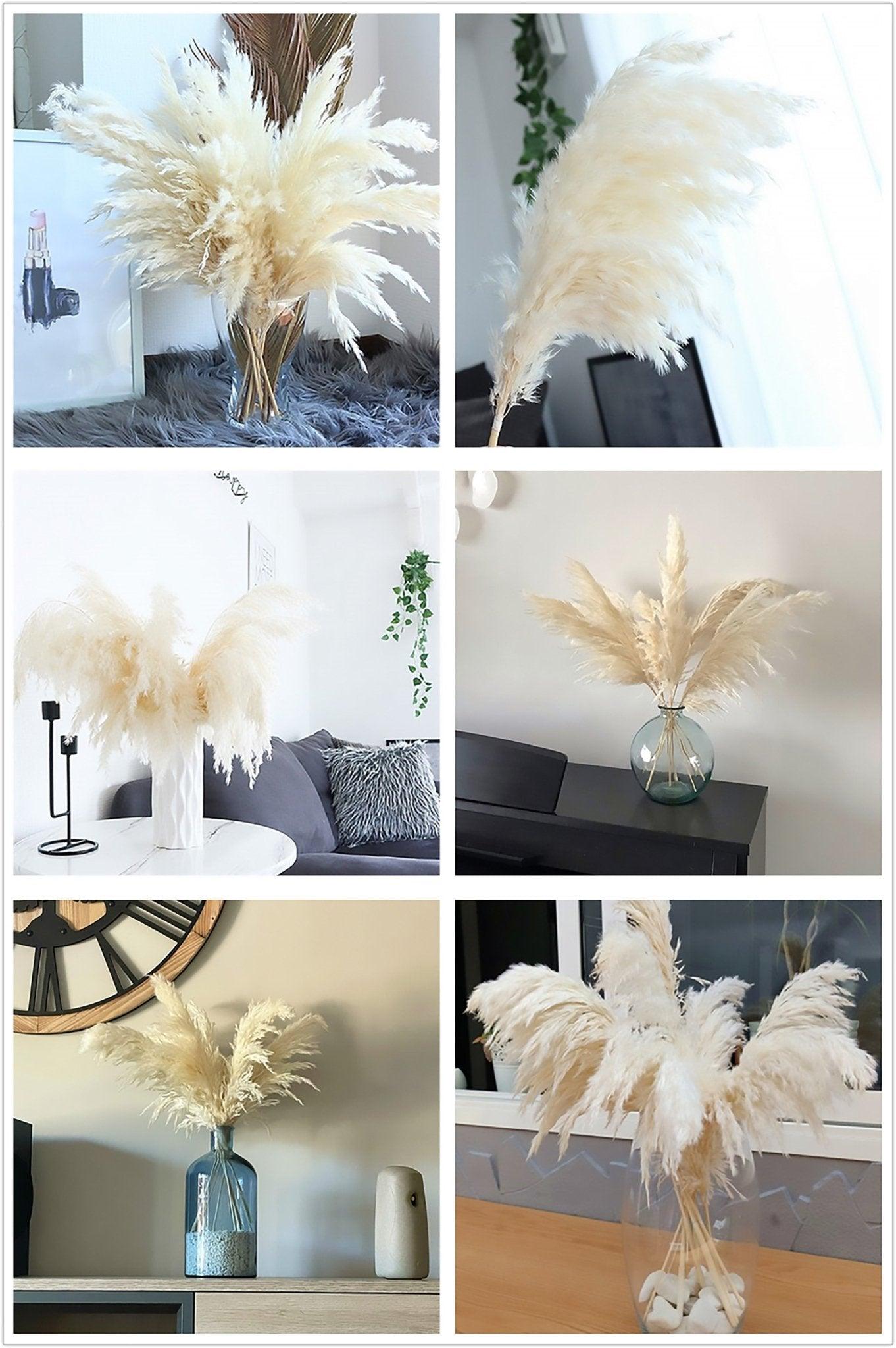 Avelena | 60 Cm Große Bouquet aus Echtem, Crémeweißem, Getrocknetem Pampasgras Flauschigen Federn für Moderne Boho-Dekoration