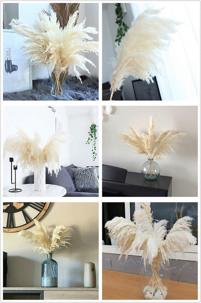 Avelena | 60 Cm Große Bouquet aus Echtem, Crémeweißem, Getrocknetem Pampasgras Flauschigen Federn für Moderne Boho-Dekoration