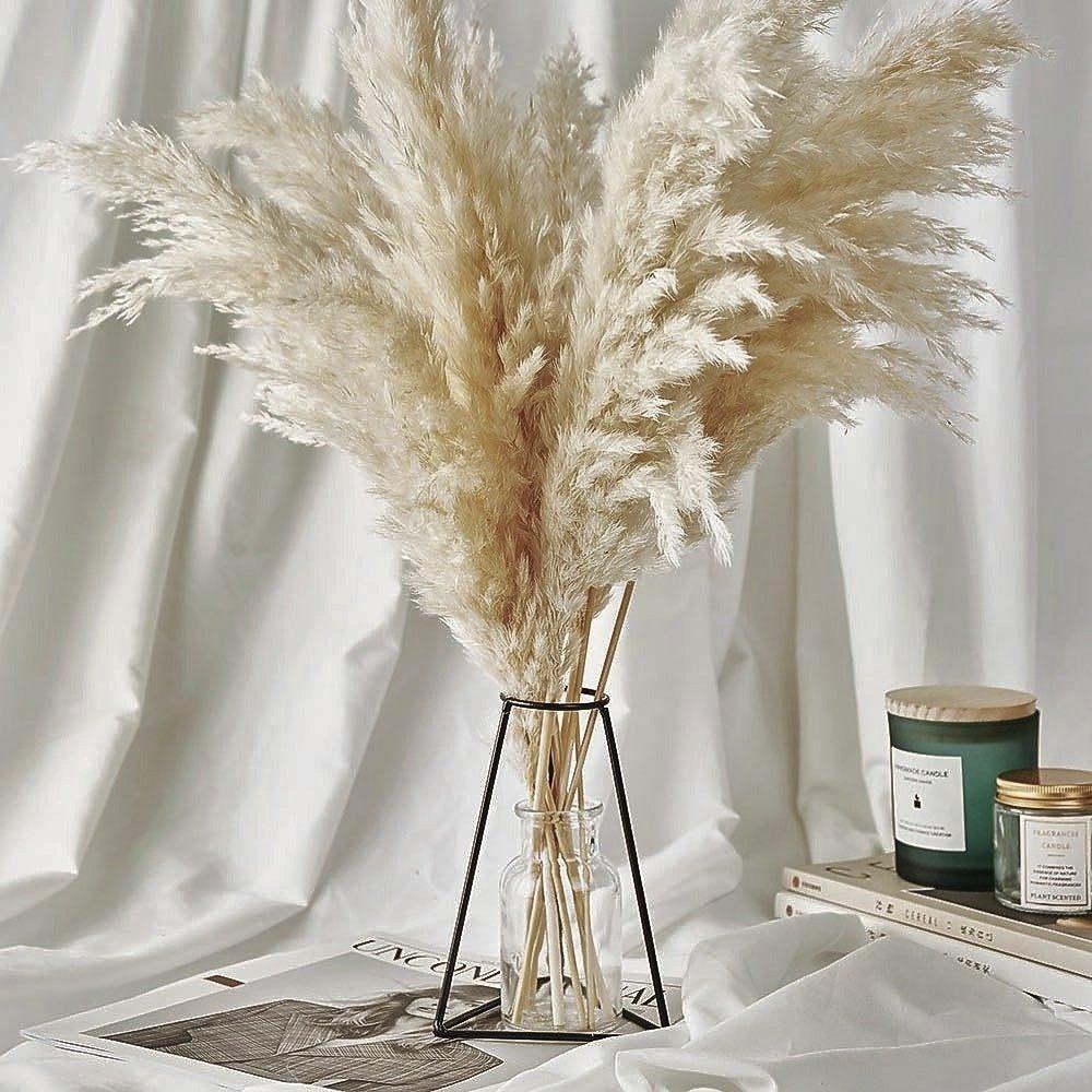 Avelena | 60 Cm Große Bouquet aus Echtem, Crémeweißem, Getrocknetem Pampasgras Flauschigen Federn für Moderne Boho-Dekoration