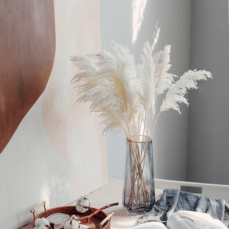 Avelena | 60 Cm Große Bouquet aus Echtem, Crémeweißem, Getrocknetem Pampasgras Flauschigen Federn für Moderne Boho-Dekoration