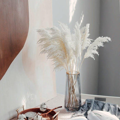 Avelena | 60 Cm Große Bouquet aus Echtem, Crémeweißem, Getrocknetem Pampasgras Flauschigen Federn für Moderne Boho-Dekoration