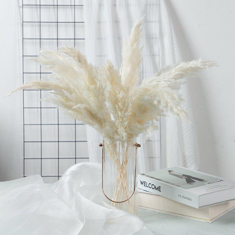 Avelena | 60 Cm Große Bouquet aus Echtem, Crémeweißem, Getrocknetem Pampasgras Flauschigen Federn für Moderne Boho-Dekoration