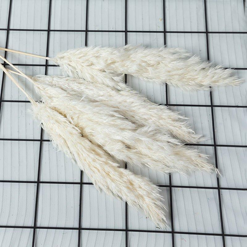 Avelena | 60 Cm Große Bouquet aus Echtem, Crémeweißem, Getrocknetem Pampasgras Flauschigen Federn für Moderne Boho-Dekoration