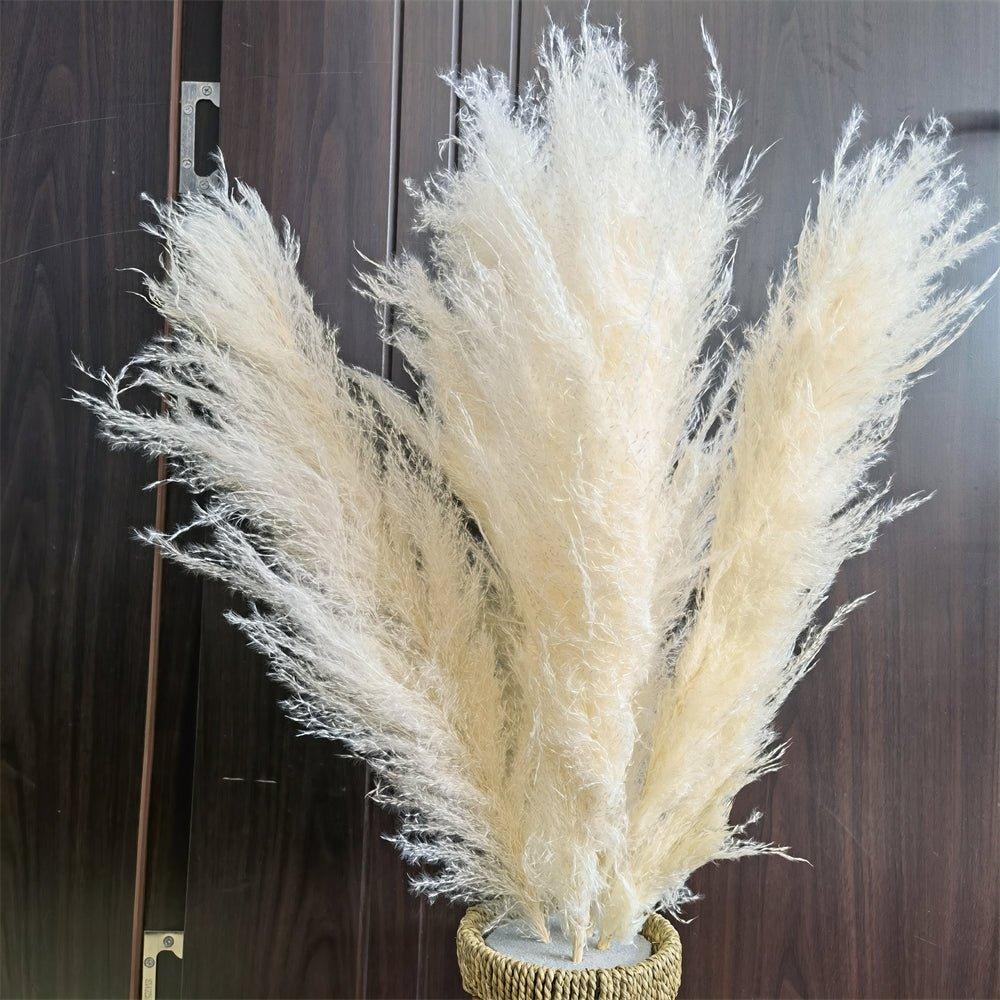 Avelena | 60 Cm Große Bouquet aus Echtem, Crémeweißem, Getrocknetem Pampasgras Flauschigen Federn für Moderne Boho-Dekoration