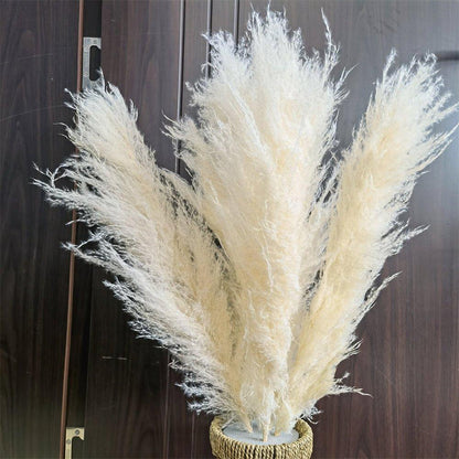 Avelena | 60 Cm Große Bouquet aus Echtem, Crémeweißem, Getrocknetem Pampasgras Flauschigen Federn für Moderne Boho-Dekoration