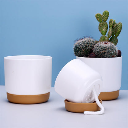 Avelena | Selbstbewässernder Blumentopf für Orchideen und Pflanzen – Kunststoff Pflanzgefäß