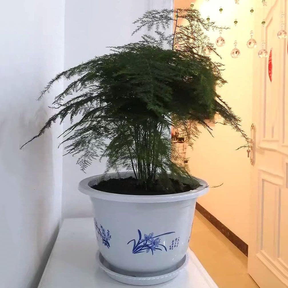 Avelena | Blumentopf aus Kunststoff mit Bambusmotiv – Eleganter Pflanztopf für Balkon und Garten