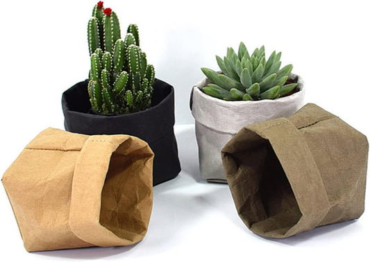 Avelena | Stylische Pflanzgefäße aus Papier für moderne Dekoration