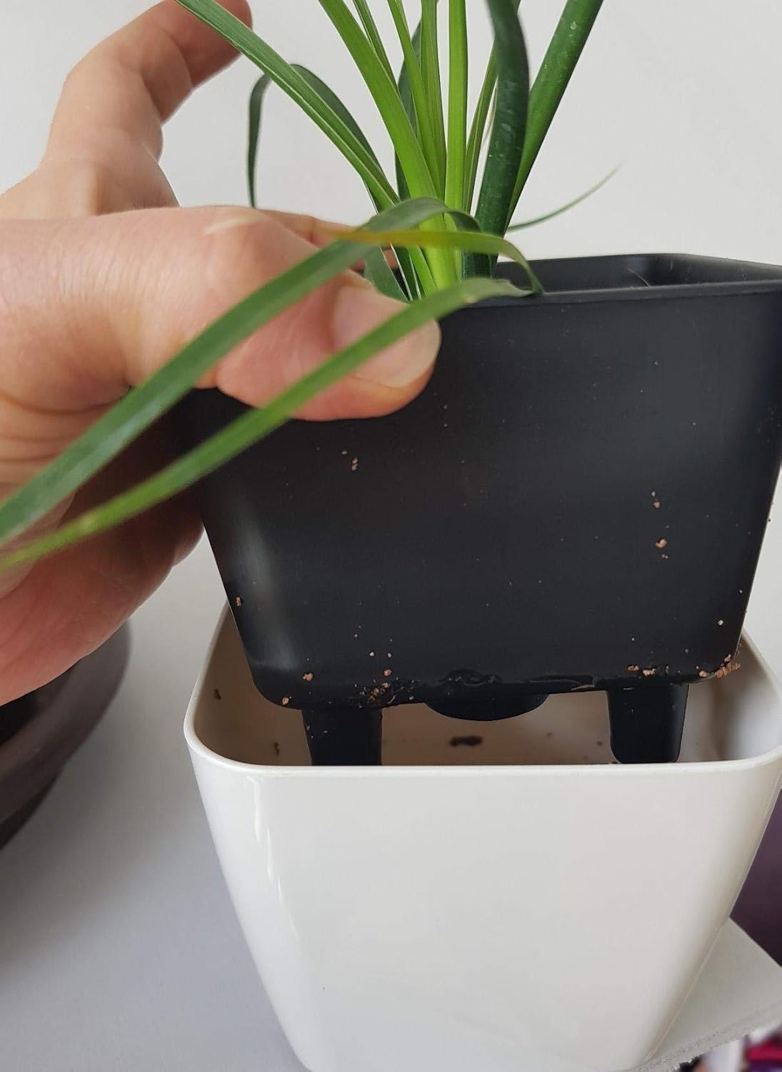 Avelena | Blumentopf mit Bewässerungssystem – Selbstbewässernder Pflanztopf für Innen- und Außennutzung