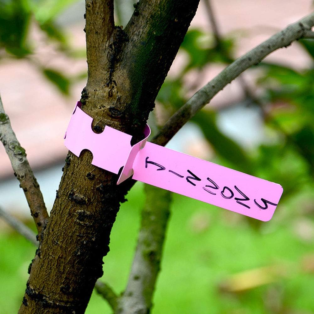 Avelena | Wiederverwendbare Pflanzenetiketten aus Kunststoff für Garten und Baummarkierung