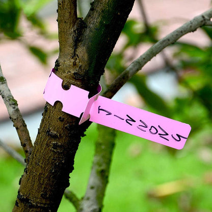 Avelena | Wiederverwendbare Pflanzenetiketten aus Kunststoff für Garten und Baummarkierung